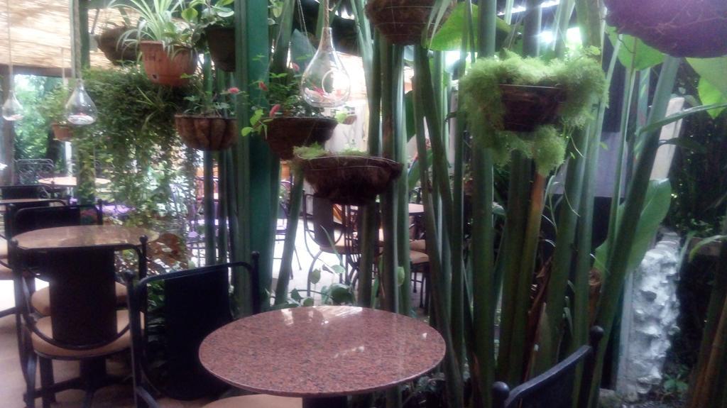 Hotel Los Jardines De Monteverde Dış mekan fotoğraf